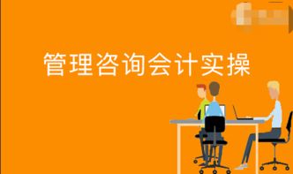 行业帐视频下载 企业管理咨询业务解析 企业经营中的税务事项管理